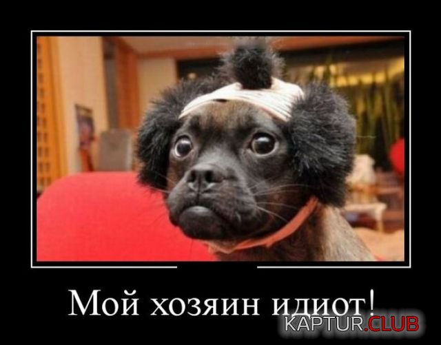 demotivatory_08.jpg | Рено Каптур Клуб Россия | Форум KAPTUR.SU