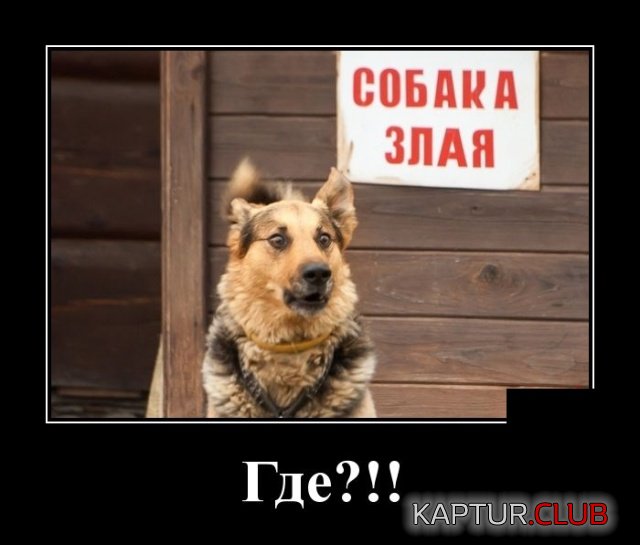 demotivatory_08.jpg | Рено Каптур Клуб Россия | Форум KAPTUR.SU