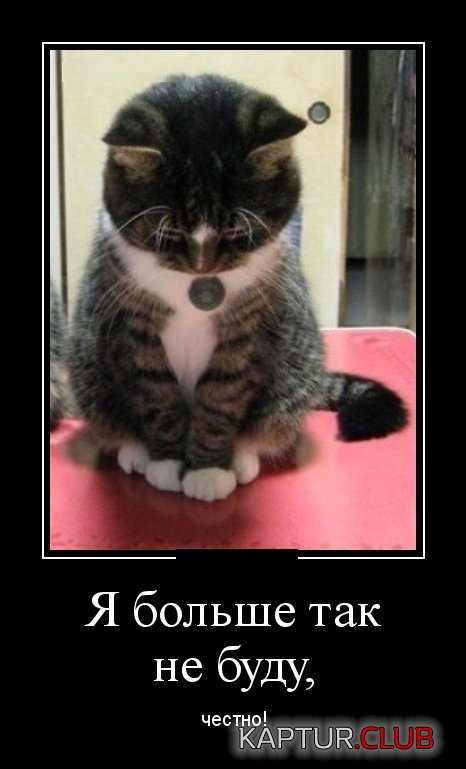 demotivatory_08.jpg | Рено Каптур Клуб Россия | Форум KAPTUR.SU