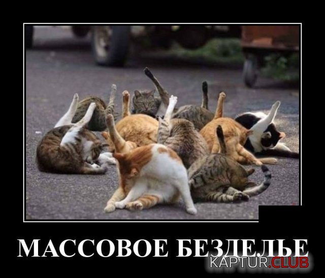 demotivatory_08.jpg | Рено Каптур Клуб Россия | Форум KAPTUR.SU