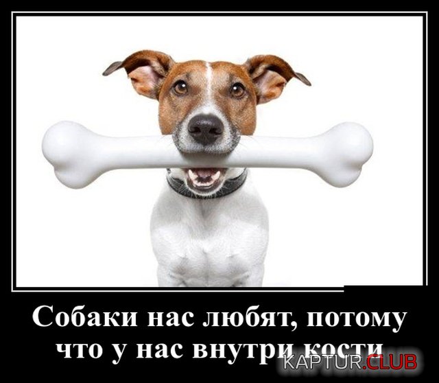 demotivatory_08.jpg | Рено Каптур Клуб Россия | Форум KAPTUR.SU