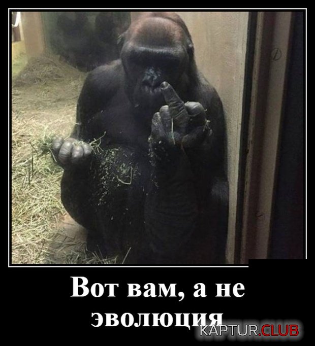 demotivatory_08.jpg | Рено Каптур Клуб Россия | Форум KAPTUR.SU
