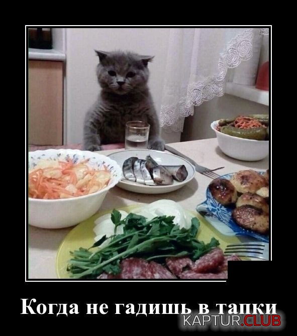 demotivatory_08.jpg | Рено Каптур Клуб Россия | Форум KAPTUR.SU