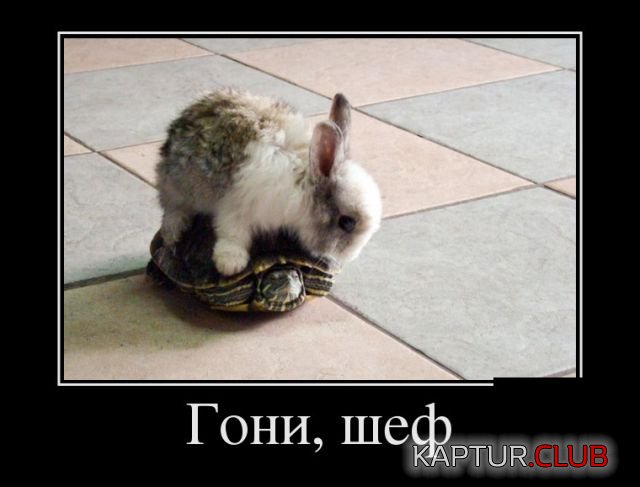 demotivatory_09.jpg | Рено Каптур Клуб Россия | Форум KAPTUR.SU