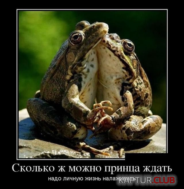 demotivatory_09.jpg | Рено Каптур Клуб Россия | Форум KAPTUR.SU