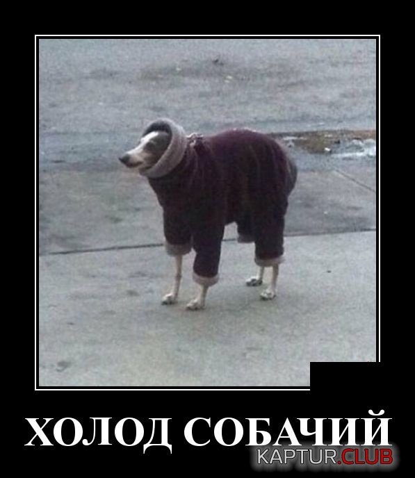 demotivatory_09.jpg | Рено Каптур Клуб Россия | Форум KAPTUR.SU
