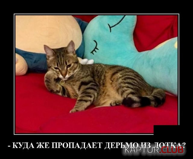 demotivatory_09.jpg | Рено Каптур Клуб Россия | Форум KAPTUR.SU