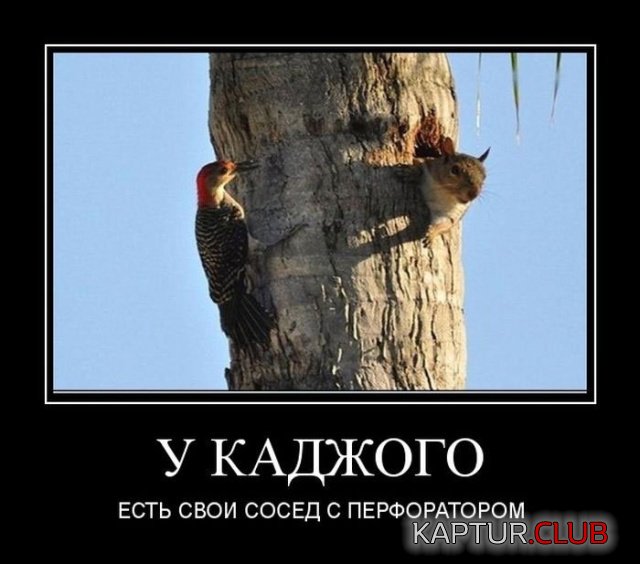 demotivatory_09.jpg | Рено Каптур Клуб Россия | Форум KAPTUR.SU