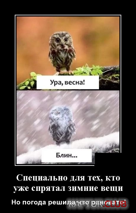 demotivatory_09.jpg | Рено Каптур Клуб Россия | Форум KAPTUR.SU