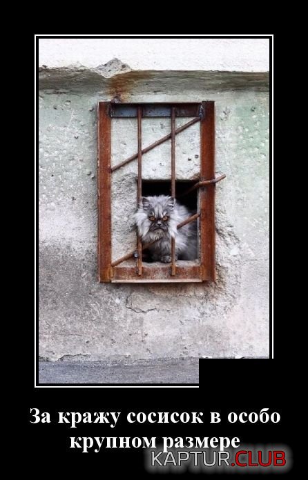 demotivatory_09.jpg | Рено Каптур Клуб Россия | Форум KAPTUR.SU
