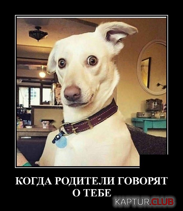 demotivatory_09.jpg | Рено Каптур Клуб Россия | Форум KAPTUR.SU