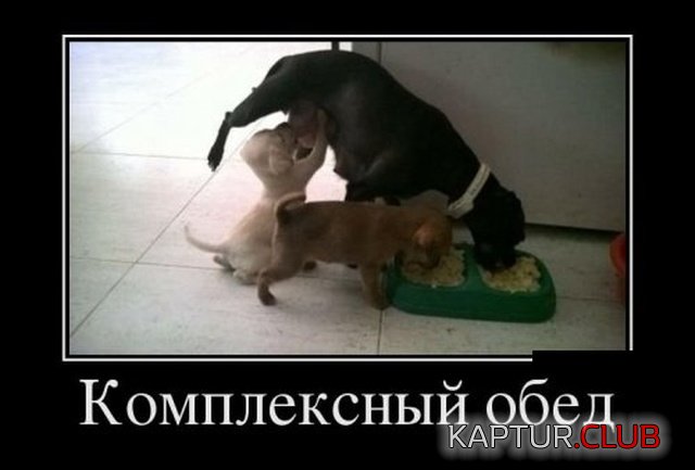 demotivatory_09.jpg | Рено Каптур Клуб Россия | Форум KAPTUR.SU