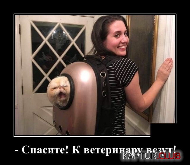 demotivatory_09.jpg | Рено Каптур Клуб Россия | Форум KAPTUR.SU