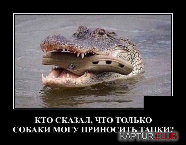 demotivatory_09.jpg | Рено Каптур Клуб Россия | Форум KAPTUR.SU