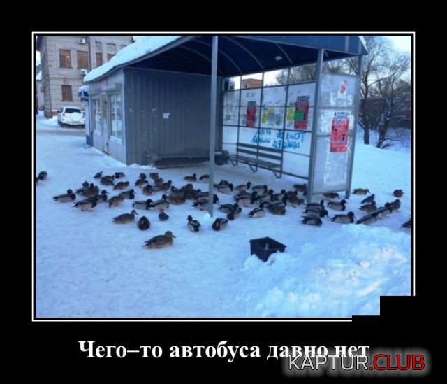 demotivatory_10.jpg | Рено Каптур Клуб Россия | Форум KAPTUR.SU
