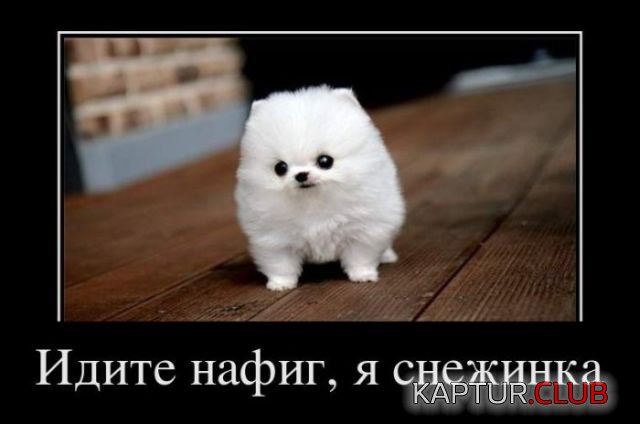 demotivatory_10.jpg | Рено Каптур Клуб Россия | Форум KAPTUR.SU