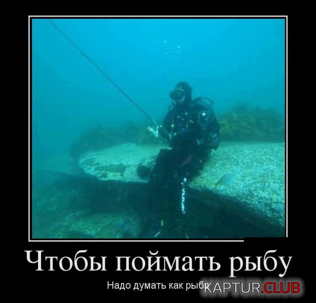 demotivatory_10.jpg | Рено Каптур Клуб Россия | Форум KAPTUR.SU