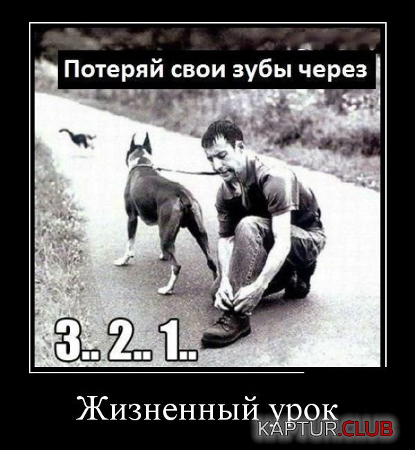 demotivatory_10.jpg | Рено Каптур Клуб Россия | Форум KAPTUR.SU