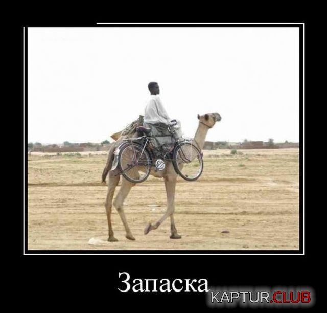 demotivatory_10.jpg | Рено Каптур Клуб Россия | Форум KAPTUR.SU
