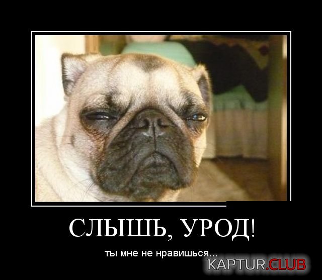 demotivatory_10.jpg | Рено Каптур Клуб Россия | Форум KAPTUR.SU