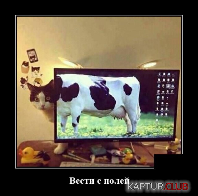demotivatory_10.jpg | Рено Каптур Клуб Россия | Форум KAPTUR.SU