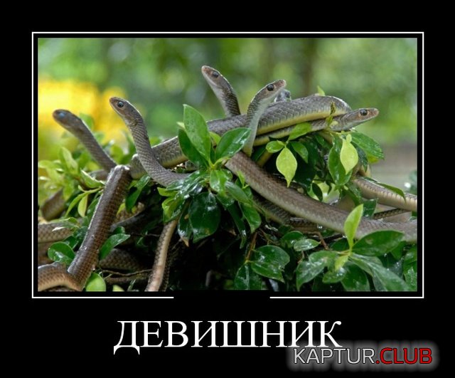 demotivatory_10.jpg | Рено Каптур Клуб Россия | Форум KAPTUR.SU