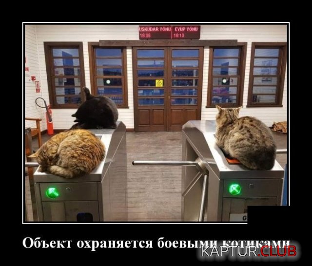 demotivatory_10.jpg | Рено Каптур Клуб Россия | Форум KAPTUR.SU