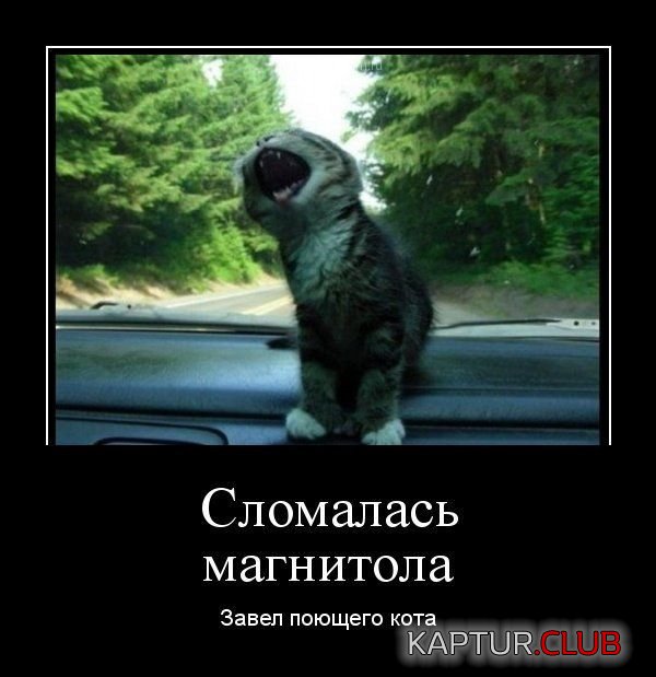 demotivatory_11.jpg | Рено Каптур Клуб Россия | Форум KAPTUR.SU
