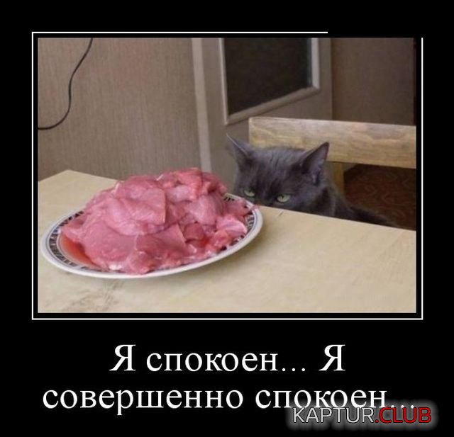 demotivatory_11.jpg | Рено Каптур Клуб Россия | Форум KAPTUR.SU