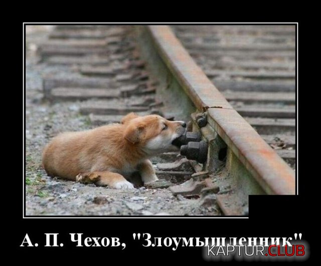 demotivatory_11.jpg | Рено Каптур Клуб Россия | Форум KAPTUR.SU