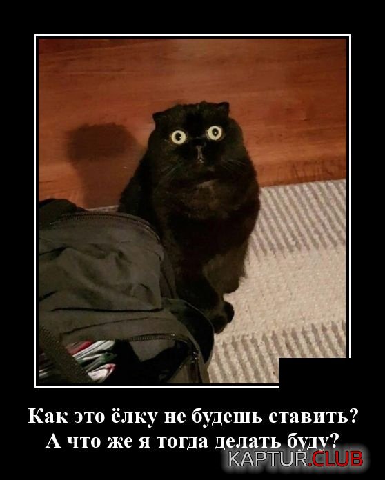 demotivatory_11.jpg | Рено Каптур Клуб Россия | Форум KAPTUR.SU