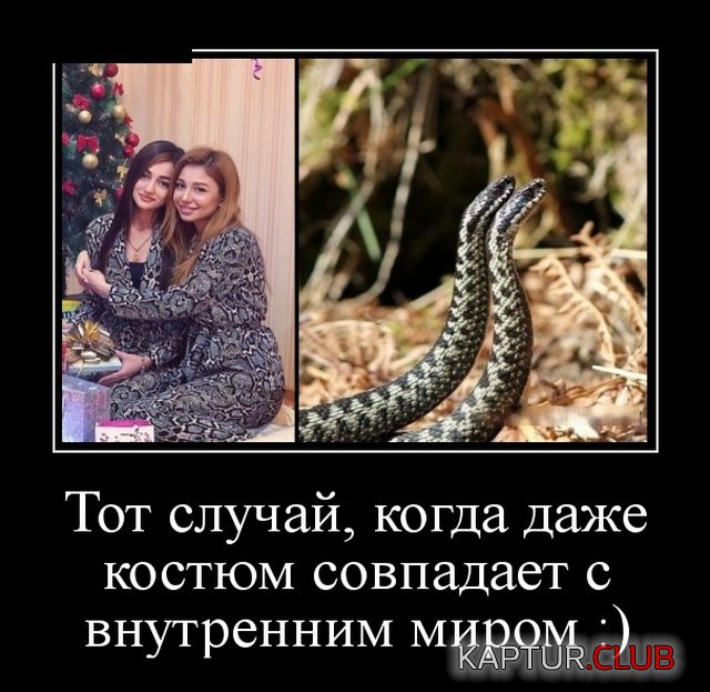 demotivatory_11.jpg | Рено Каптур Клуб Россия | Форум KAPTUR.SU
