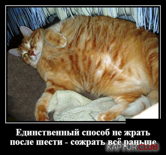 demotivatory_11.jpg | Рено Каптур Клуб Россия | Форум KAPTUR.SU