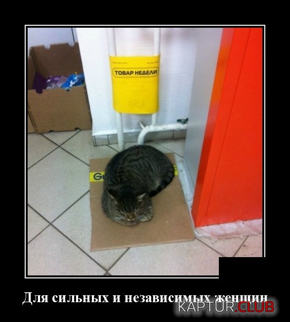 demotivatory_11.jpg | Рено Каптур Клуб Россия | Форум KAPTUR.SU