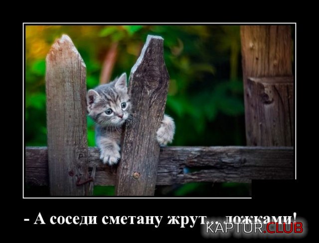 demotivatory_11.jpg | Рено Каптур Клуб Россия | Форум KAPTUR.SU
