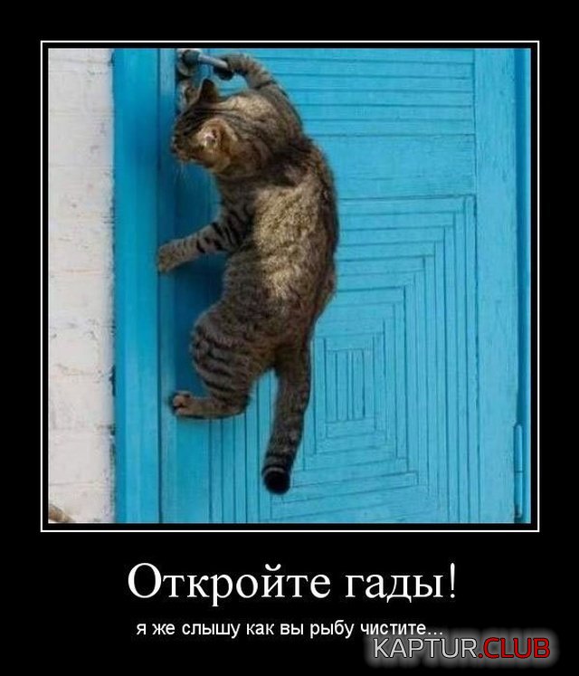 demotivatory_11.jpg | Рено Каптур Клуб Россия | Форум KAPTUR.SU
