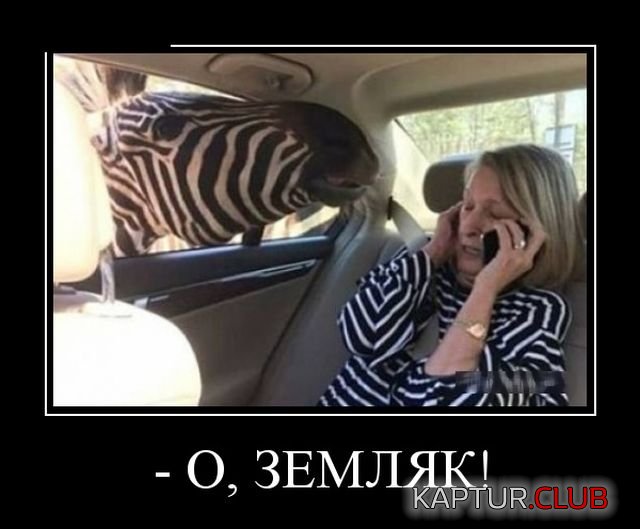 demotivatory_12.jpg | Рено Каптур Клуб Россия | Форум KAPTUR.SU