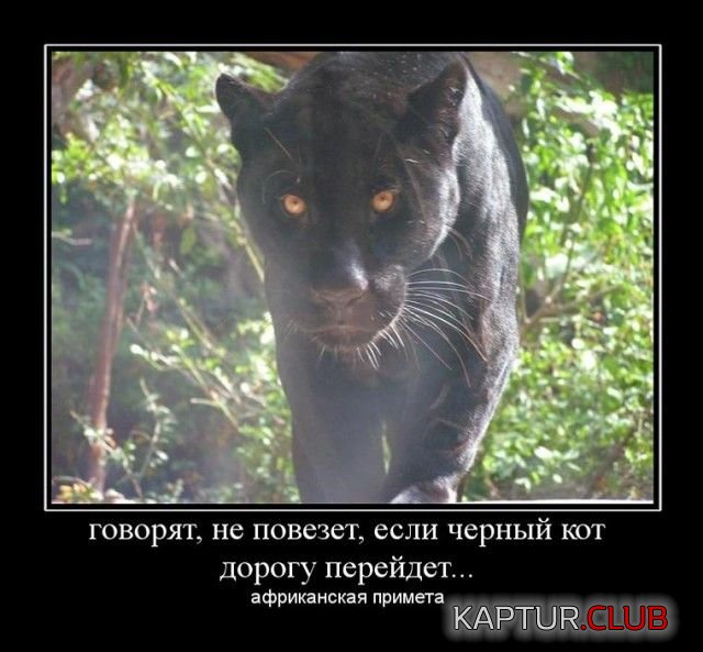 demotivatory_12.jpg | Рено Каптур Клуб Россия | Форум KAPTUR.SU