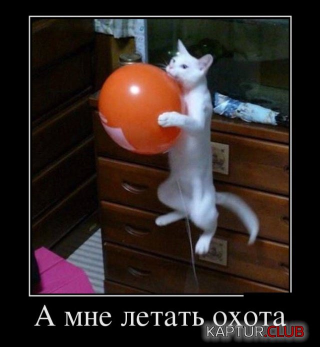 demotivatory_12.jpg | Рено Каптур Клуб Россия | Форум KAPTUR.SU