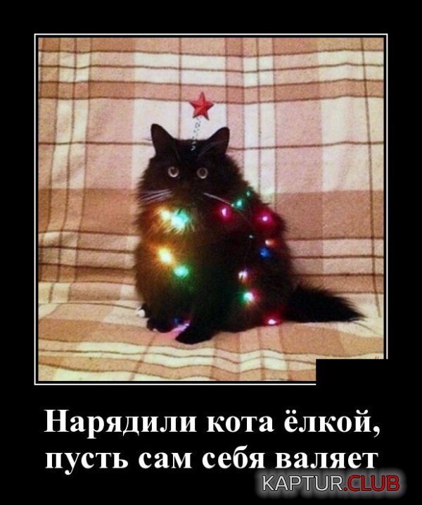 demotivatory_12.jpg | Рено Каптур Клуб Россия | Форум KAPTUR.SU