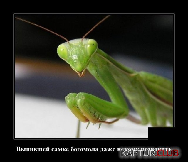 demotivatory_12.jpg | Рено Каптур Клуб Россия | Форум KAPTUR.SU