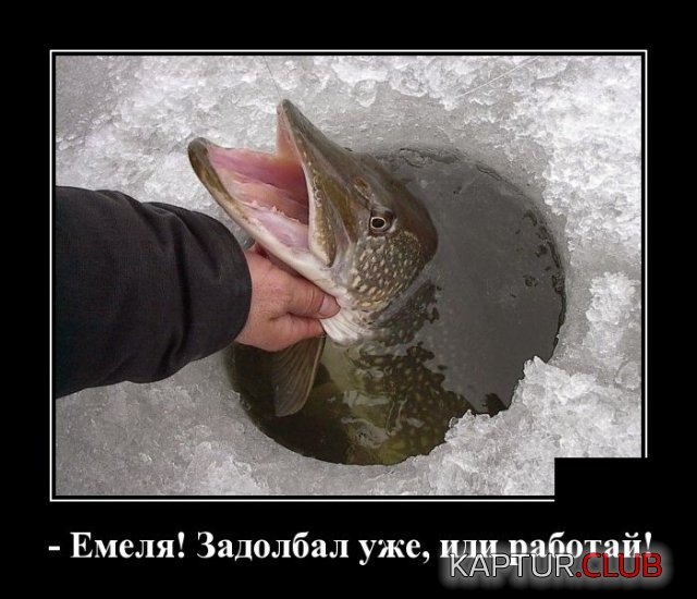 demotivatory_12.jpg | Рено Каптур Клуб Россия | Форум KAPTUR.SU