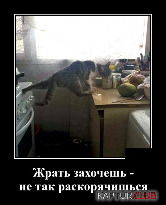 demotivatory_12.jpg | Рено Каптур Клуб Россия | Форум KAPTUR.SU
