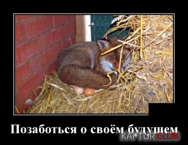 demotivatory_12.jpg | Рено Каптур Клуб Россия | Форум KAPTUR.SU