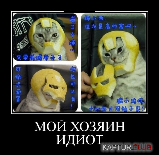 demotivatory_13.jpg | Рено Каптур Клуб Россия | Форум KAPTUR.SU