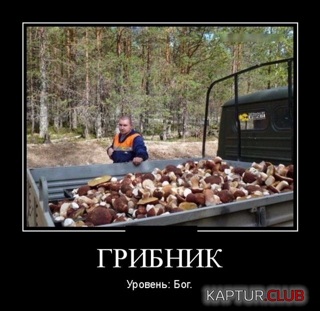 demotivatory_13.jpg | Рено Каптур Клуб Россия | Форум KAPTUR.SU