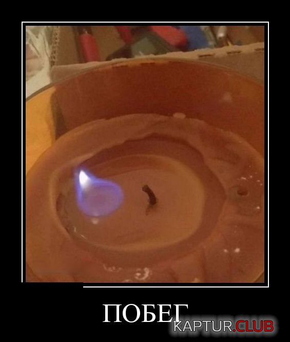 demotivatory_13.jpg | Рено Каптур Клуб Россия | Форум KAPTUR.SU