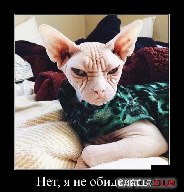 demotivatory_13.jpg | Рено Каптур Клуб Россия | Форум KAPTUR.SU