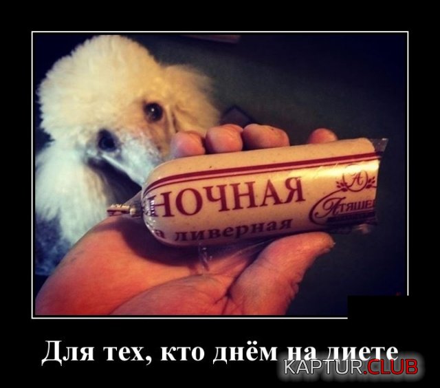 demotivatory_13.jpg | Рено Каптур Клуб Россия | Форум KAPTUR.SU