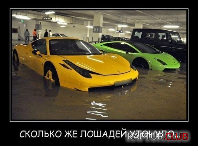 demotivatory_13.jpg | Рено Каптур Клуб Россия | Форум KAPTUR.SU